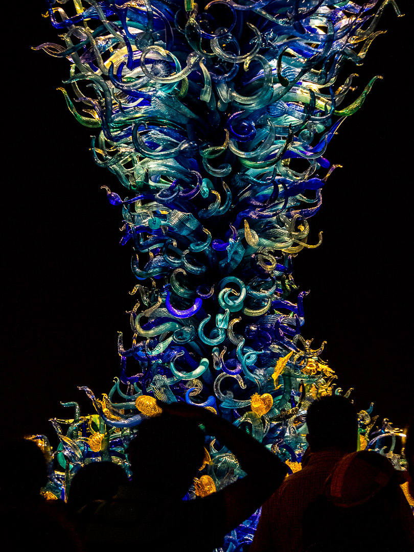Chihuly Glass | 1/60 sec - f/4 - ISO 1600 - 54mm