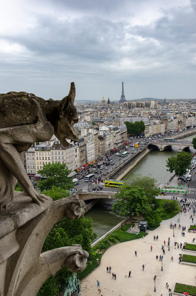 Views of Paris from the towers of Notre Dame de Paris