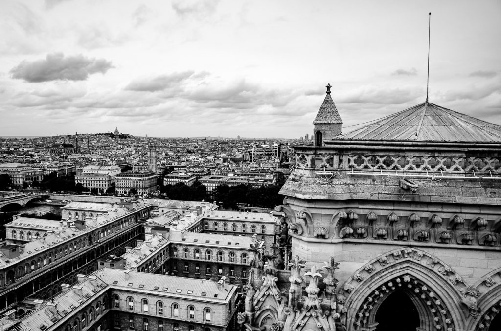 Views of Paris from the towers of Notre Dame de Paris