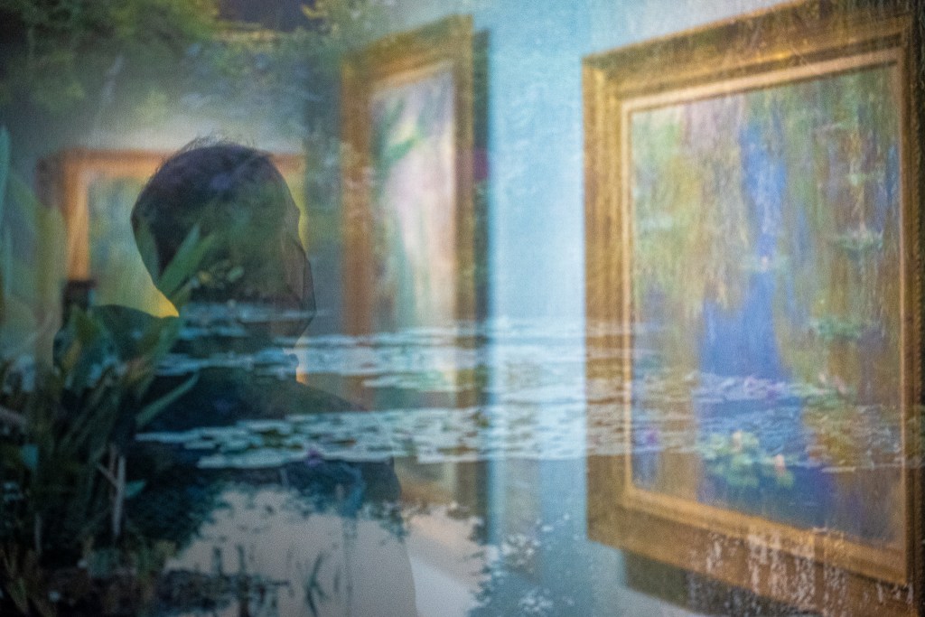 Monet - behind the maze