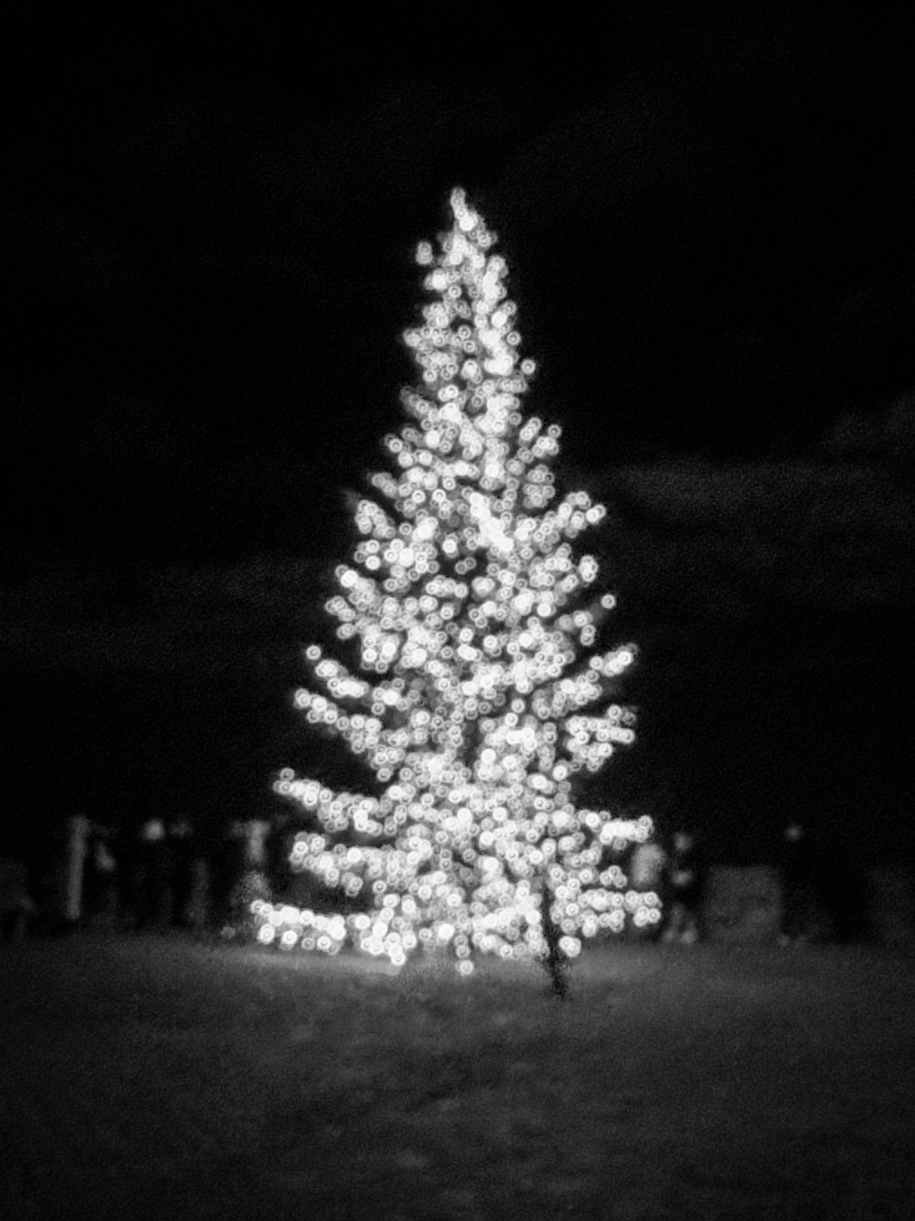 A blurry Christmas tree reflects the beauty of perfect imperfection