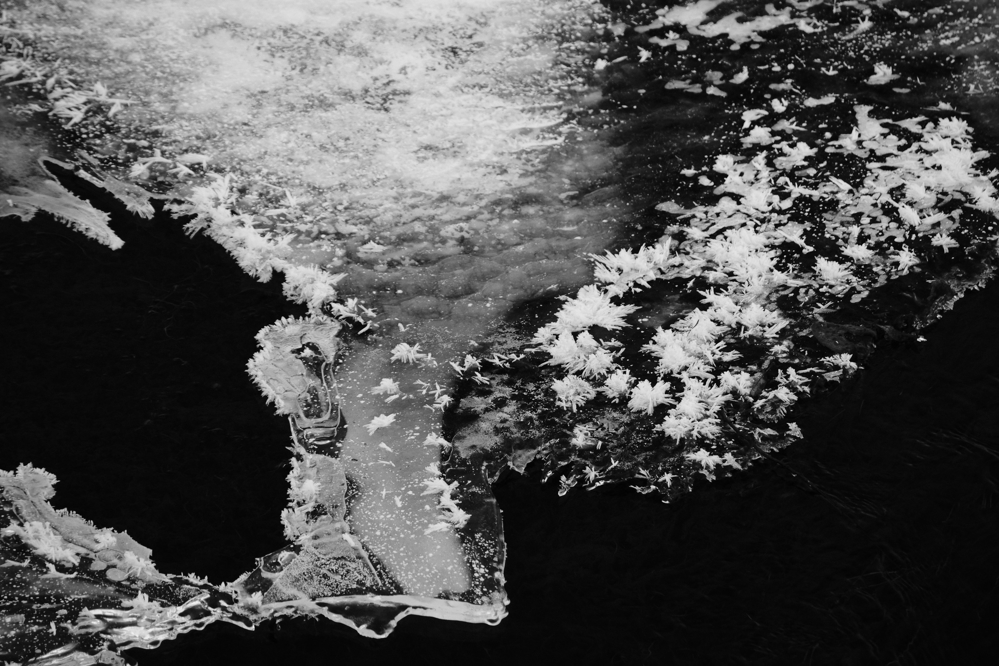 Eiskristalle auf der Lanka