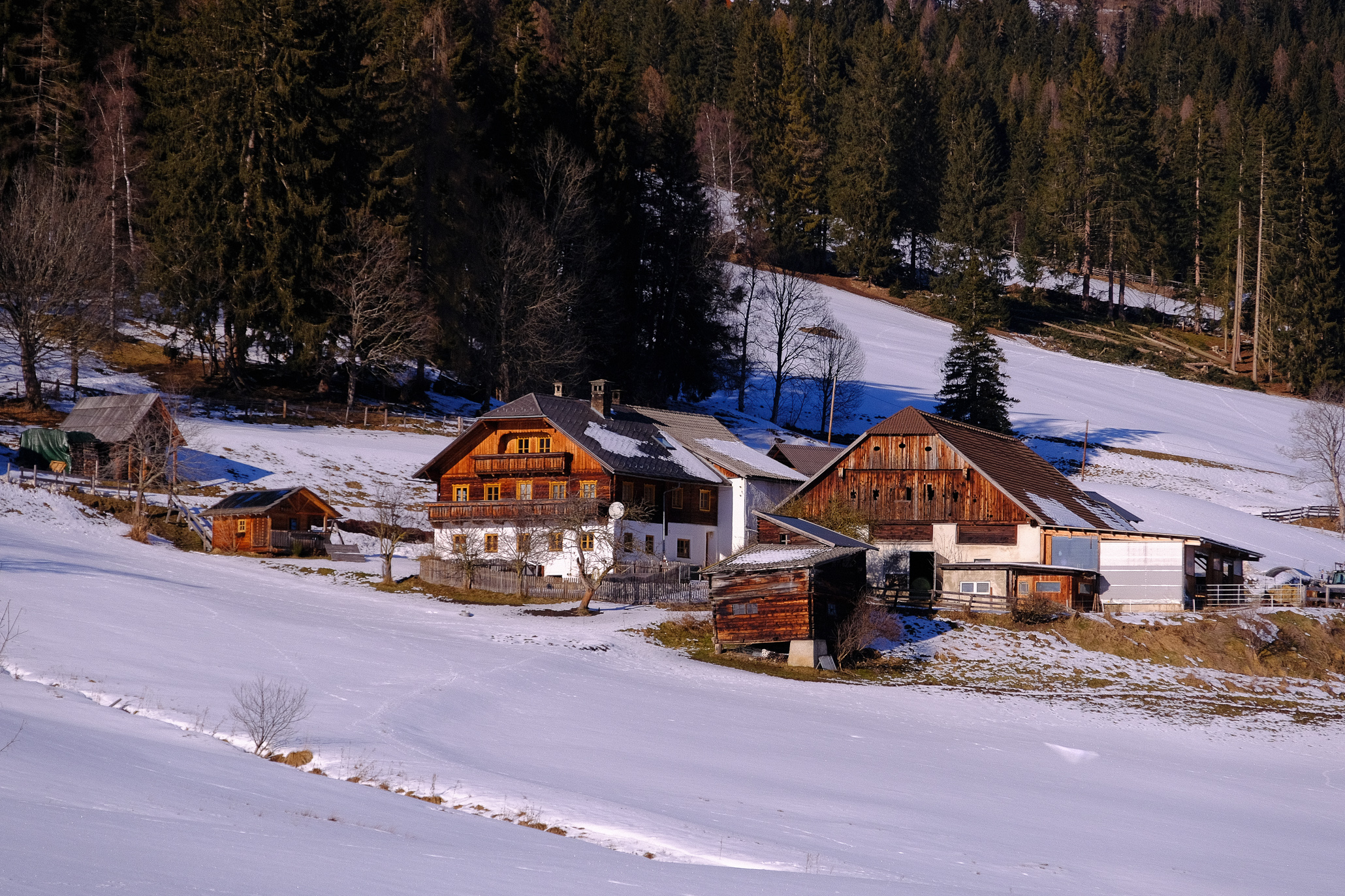 Lungauer Bauernhäuser