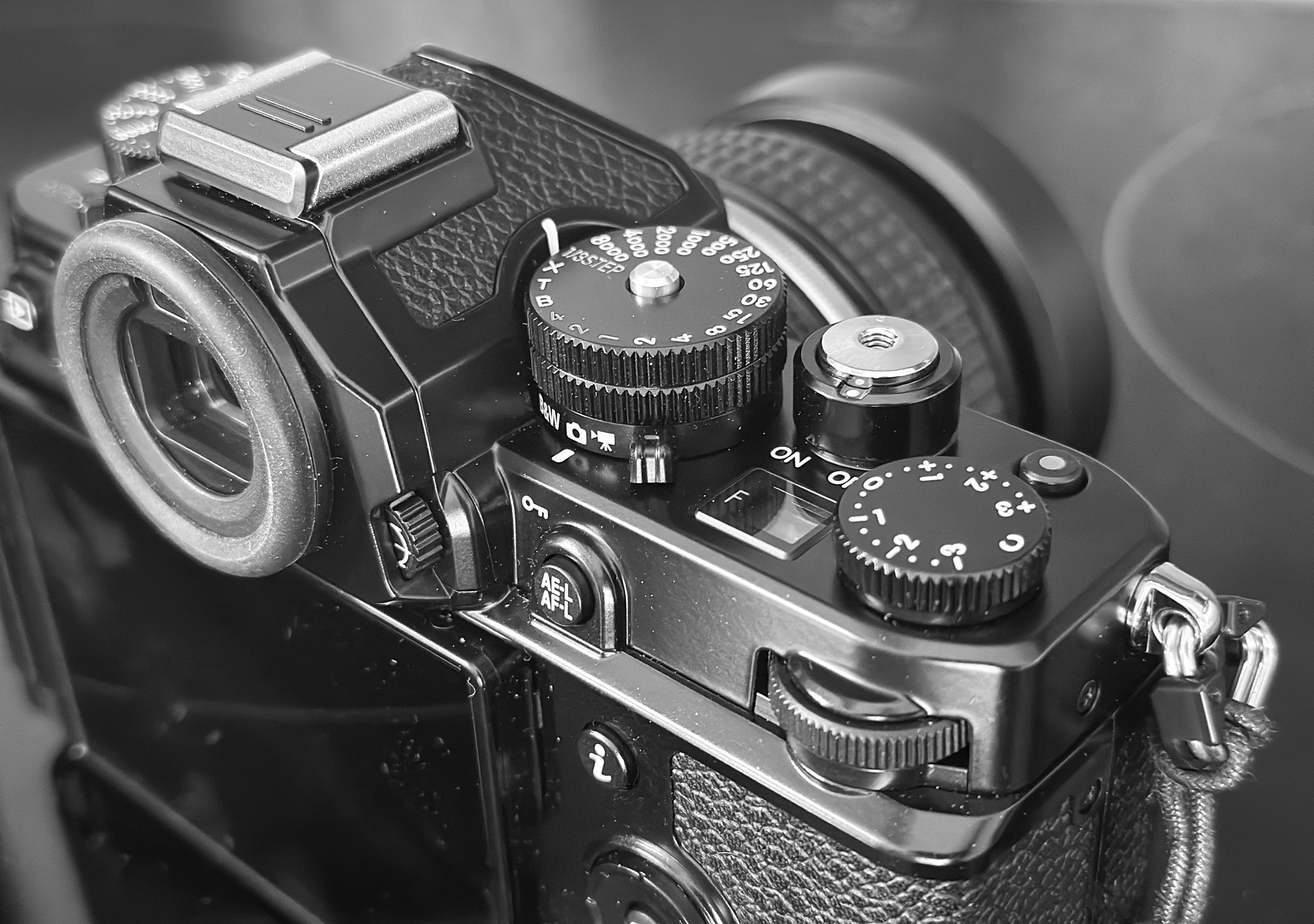 Nikon Zf 