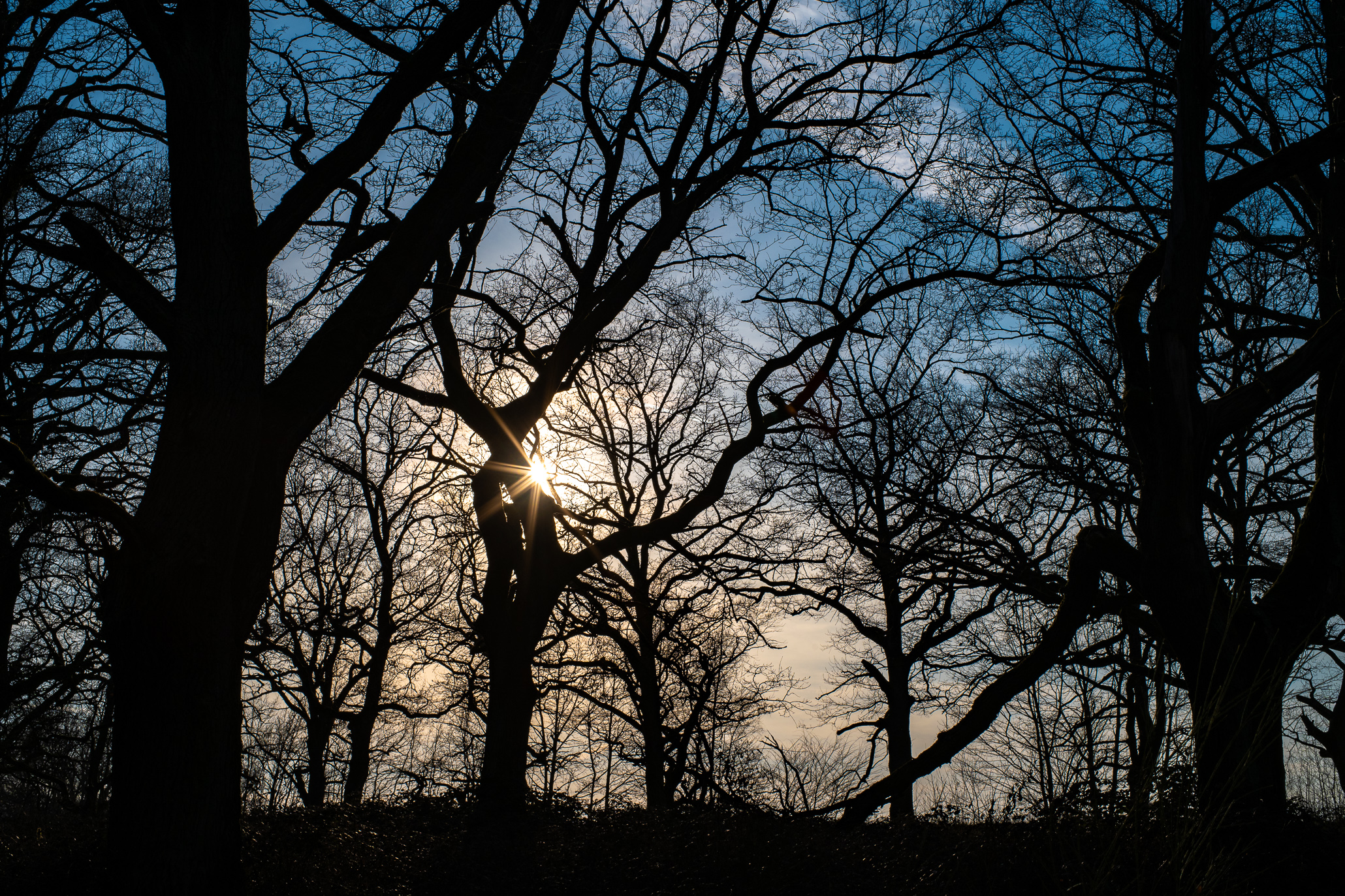 Vintage Lense Photography with the Pentax Asahi SMC Takumar