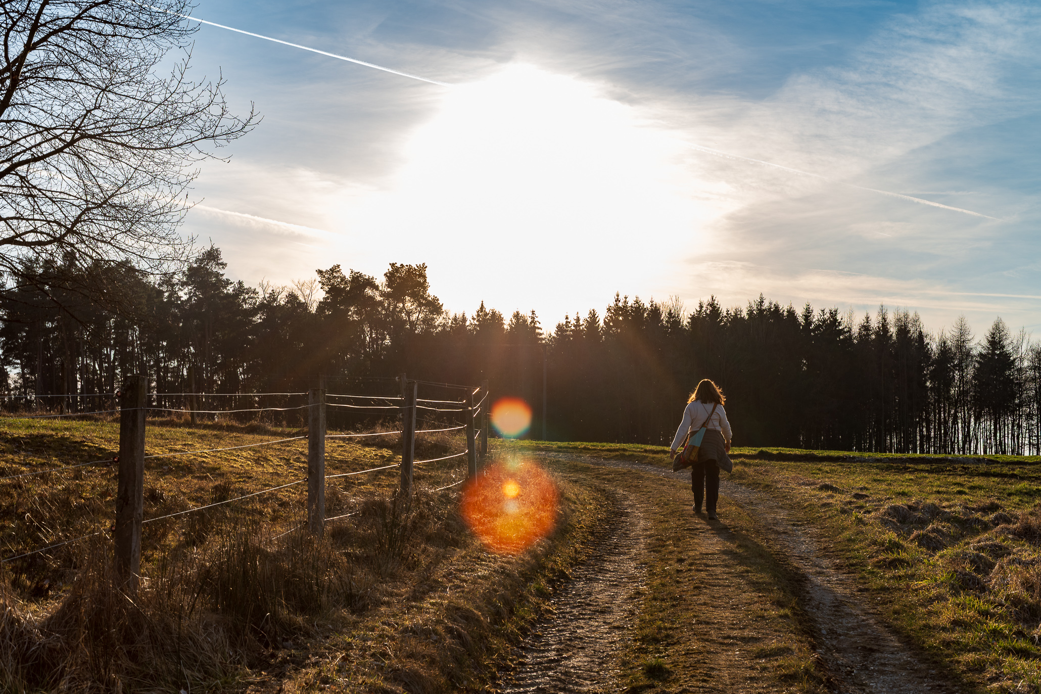 Vintage Lense Photography with the Pentax Asahi SMC Takumar